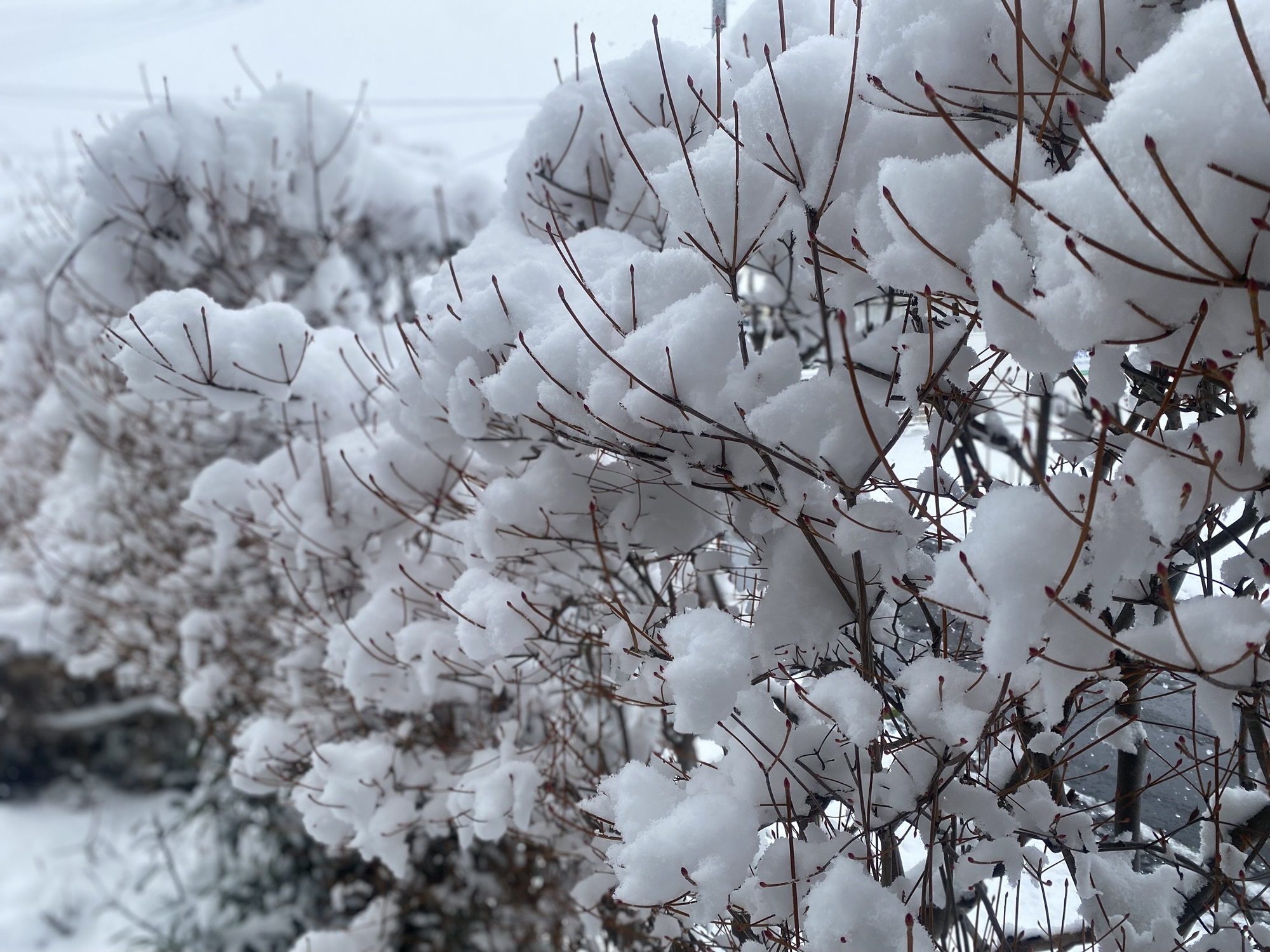 最新情報はInstagram公開中